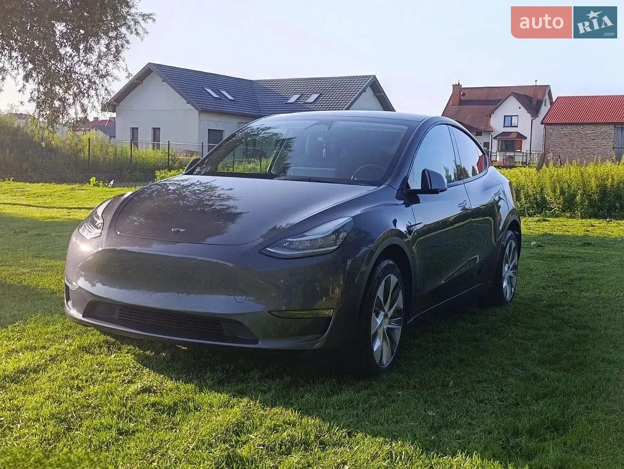 2023 Tesla Model Y - фото 1