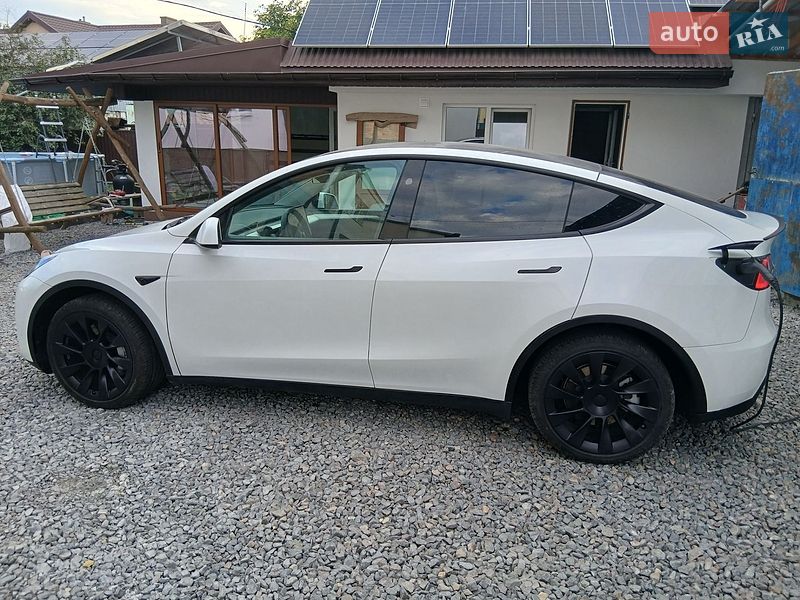 Позашляховик / Кросовер Tesla Model Y 2023 в Городку фото 4 Позашляховик / Кросовер Tesla Model Y 2023 в Городку