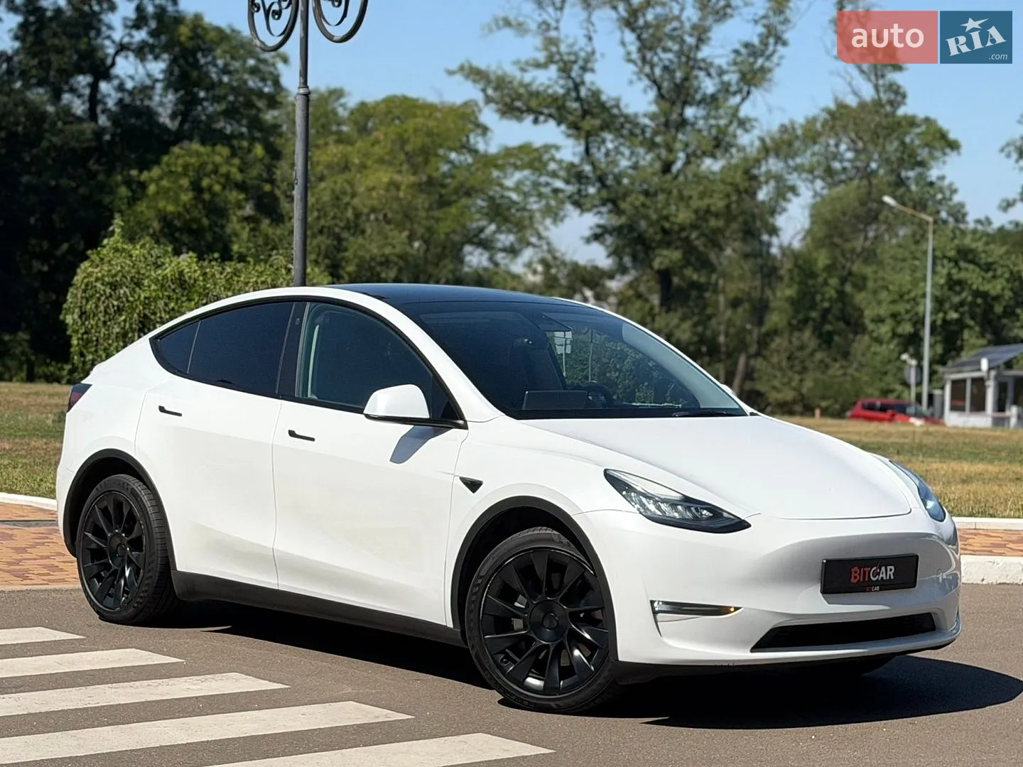 2023 Tesla Model Y - фото 1