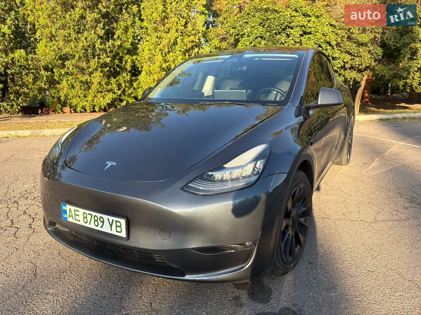2022 Tesla Model Y - фото 1