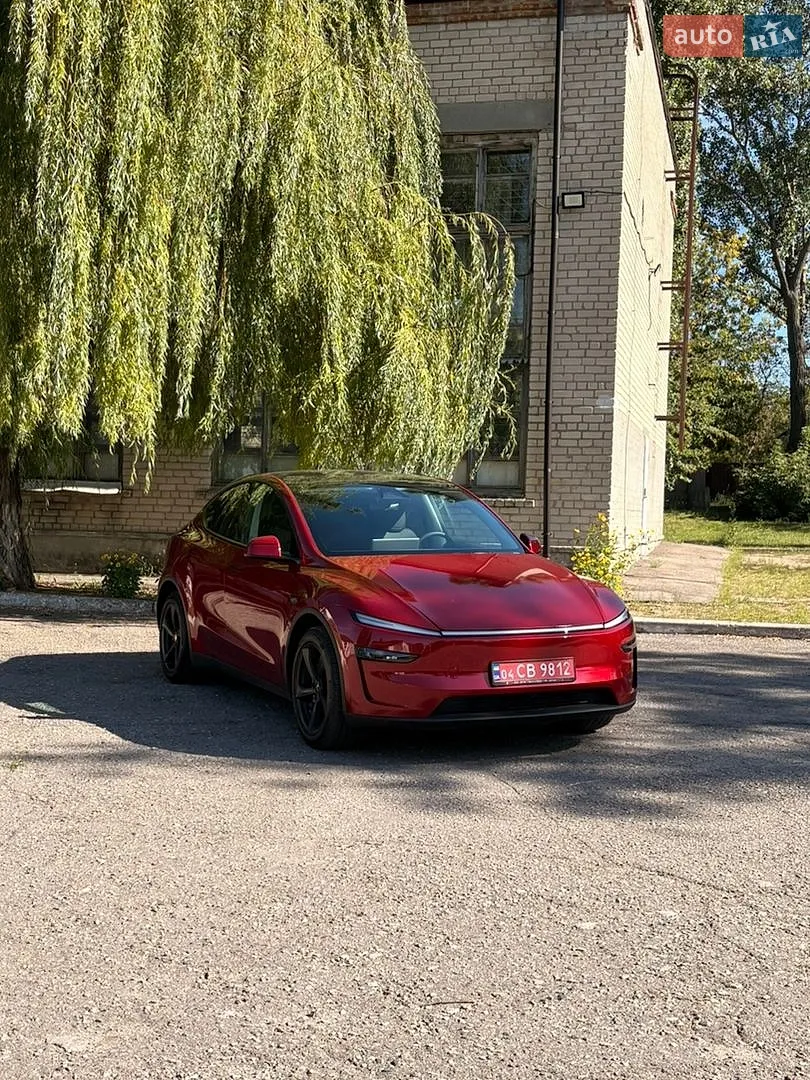 2025 Tesla Model Y - мініатюра 7