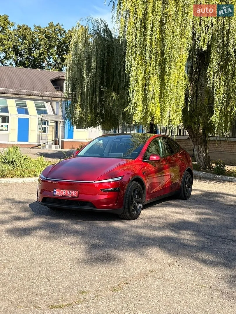 2025 Tesla Model Y - мініатюра 8