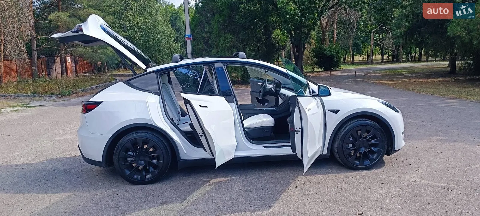 2023 Tesla Model Y - мініатюра 19