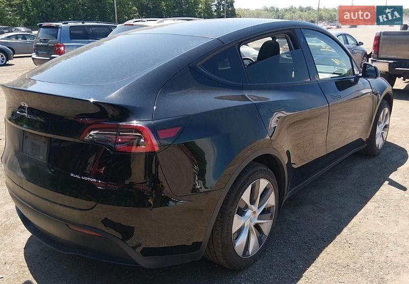 Позашляховик / Кросовер Tesla Model Y 2021 в Луцьку