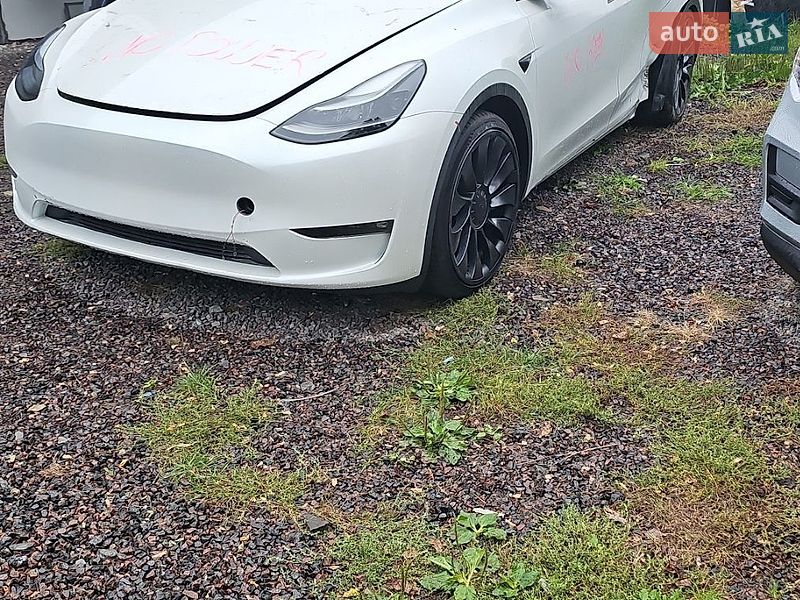 Позашляховик / Кросовер Tesla Model Y 2023 в Полтаві
