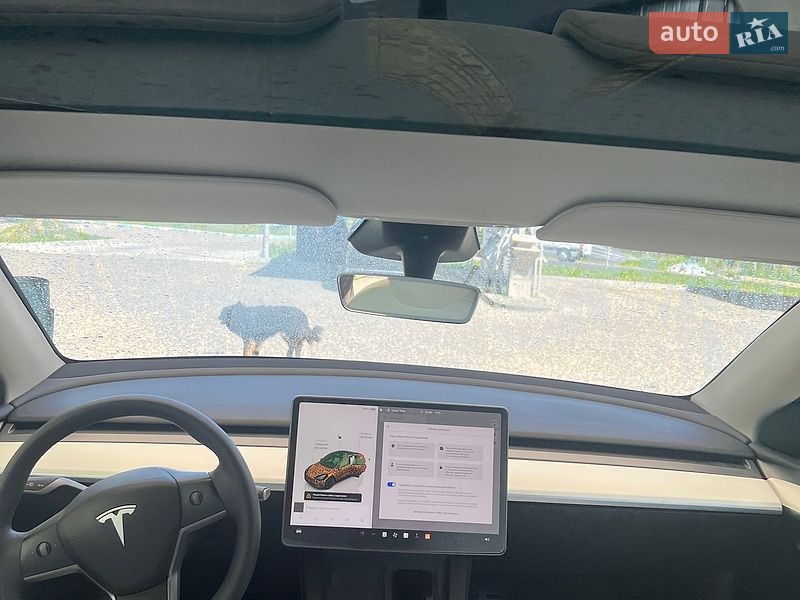 Внедорожник / Кроссовер Tesla Model Y 2024 в Хмельницком