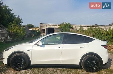 Позашляховик / Кросовер Tesla Model Y 2021 в Олександрії