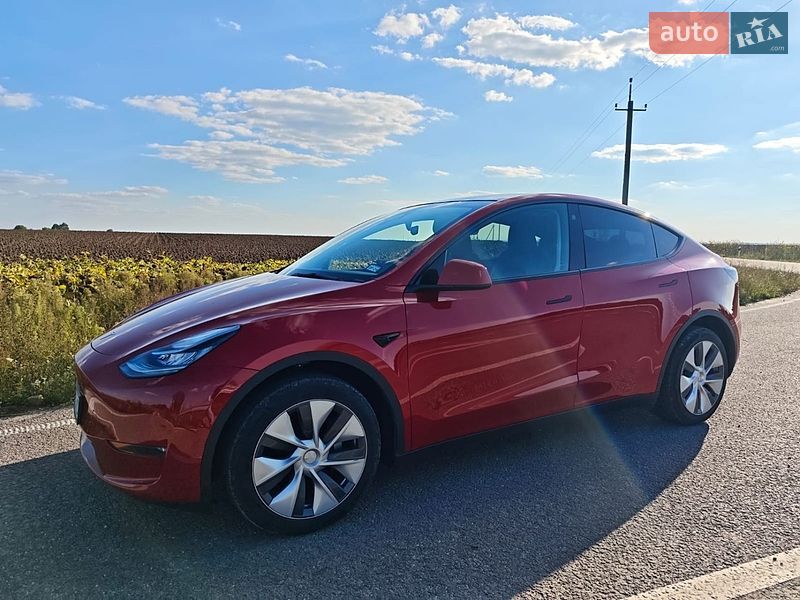 Внедорожник / Кроссовер Tesla Model Y 2023 в Городке фото 14 Внедорожник / Кроссовер Tesla Model Y 2023 в Городке