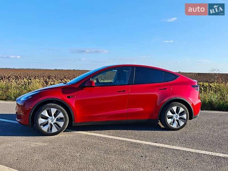 Внедорожник / Кроссовер Tesla Model Y 2023 в Городке фото 52 Внедорожник / Кроссовер Tesla Model Y 2023 в Городке