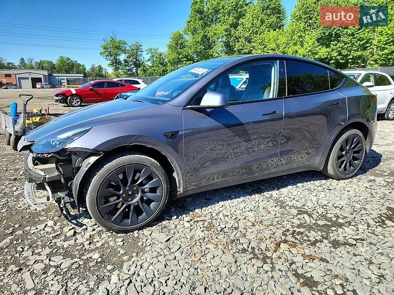 Внедорожник / Кроссовер Tesla Model Y 2023 в Киеве