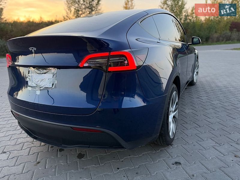 Позашляховик / Кросовер Tesla Model Y 2023 в Звягелі