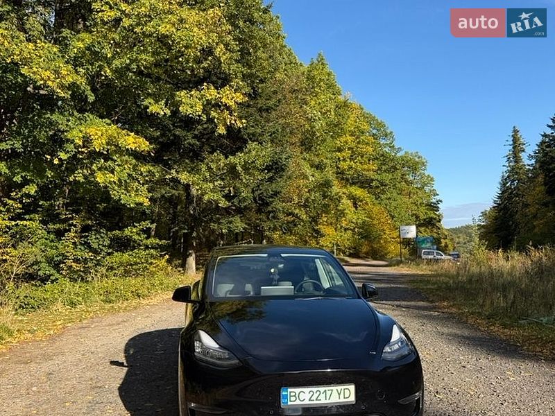 Внедорожник / Кроссовер Tesla Model Y 2021 в Трускавце