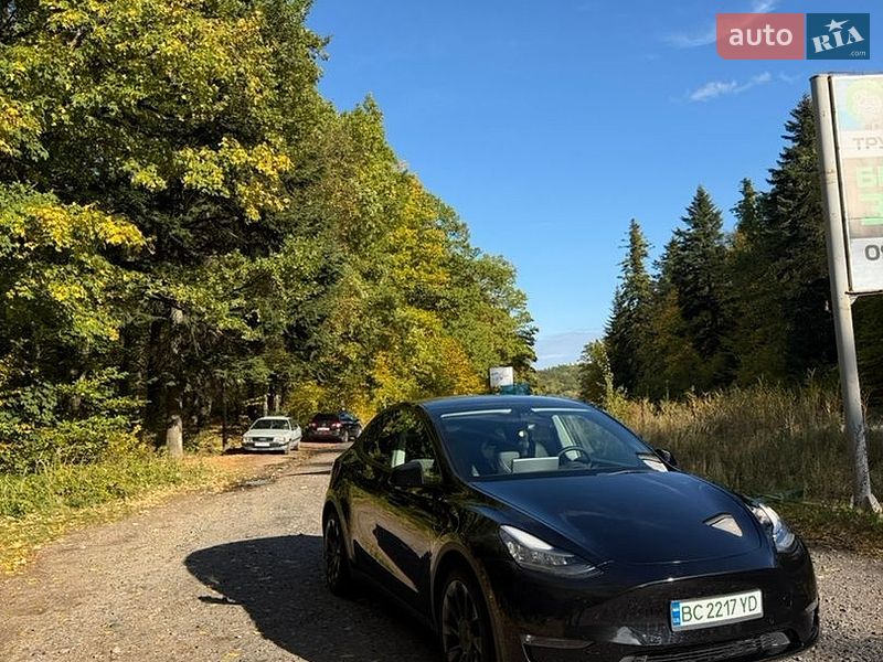 Внедорожник / Кроссовер Tesla Model Y 2021 в Трускавце
