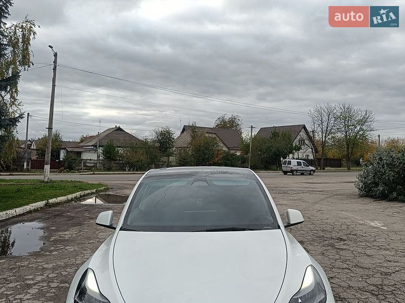 Внедорожник / Кроссовер Tesla Model Y 2022 в Сквире