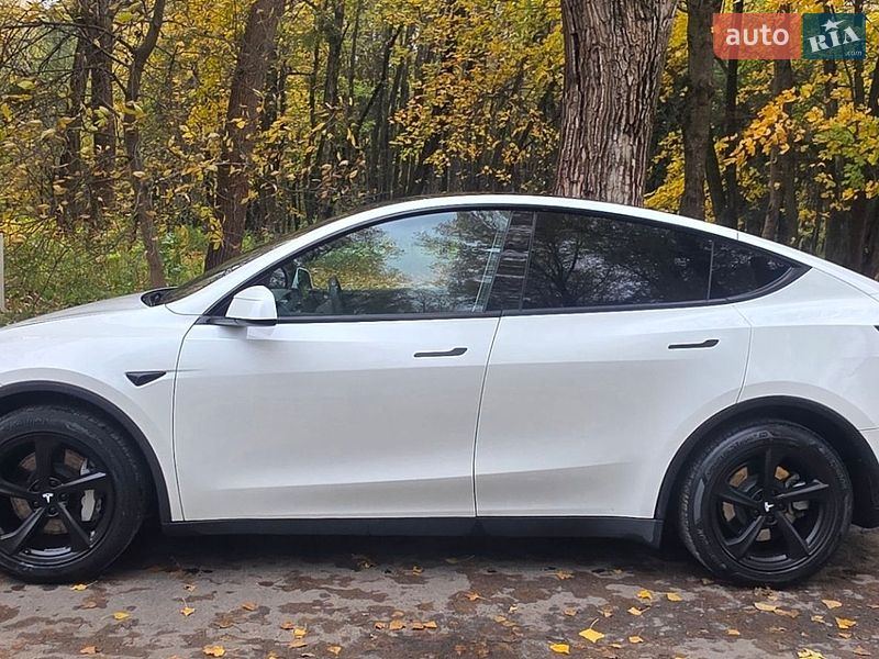 Внедорожник / Кроссовер Tesla Model Y 2025 в Хмельницком фото 5 Внедорожник / Кроссовер Tesla Model Y 2025 в Хмельницком