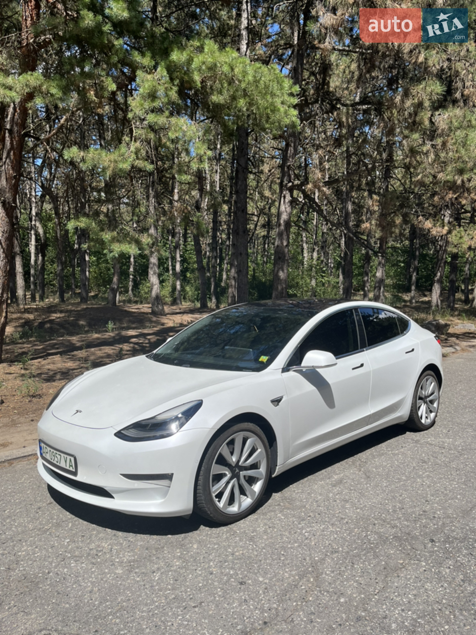 2019 Tesla Model 3 - мініатюра 13