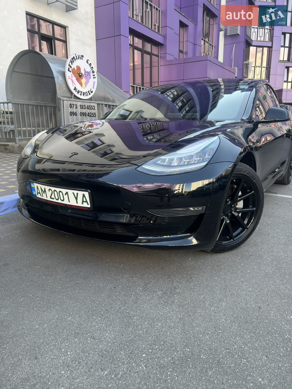 2019 Tesla Model 3 - мініатюра 19