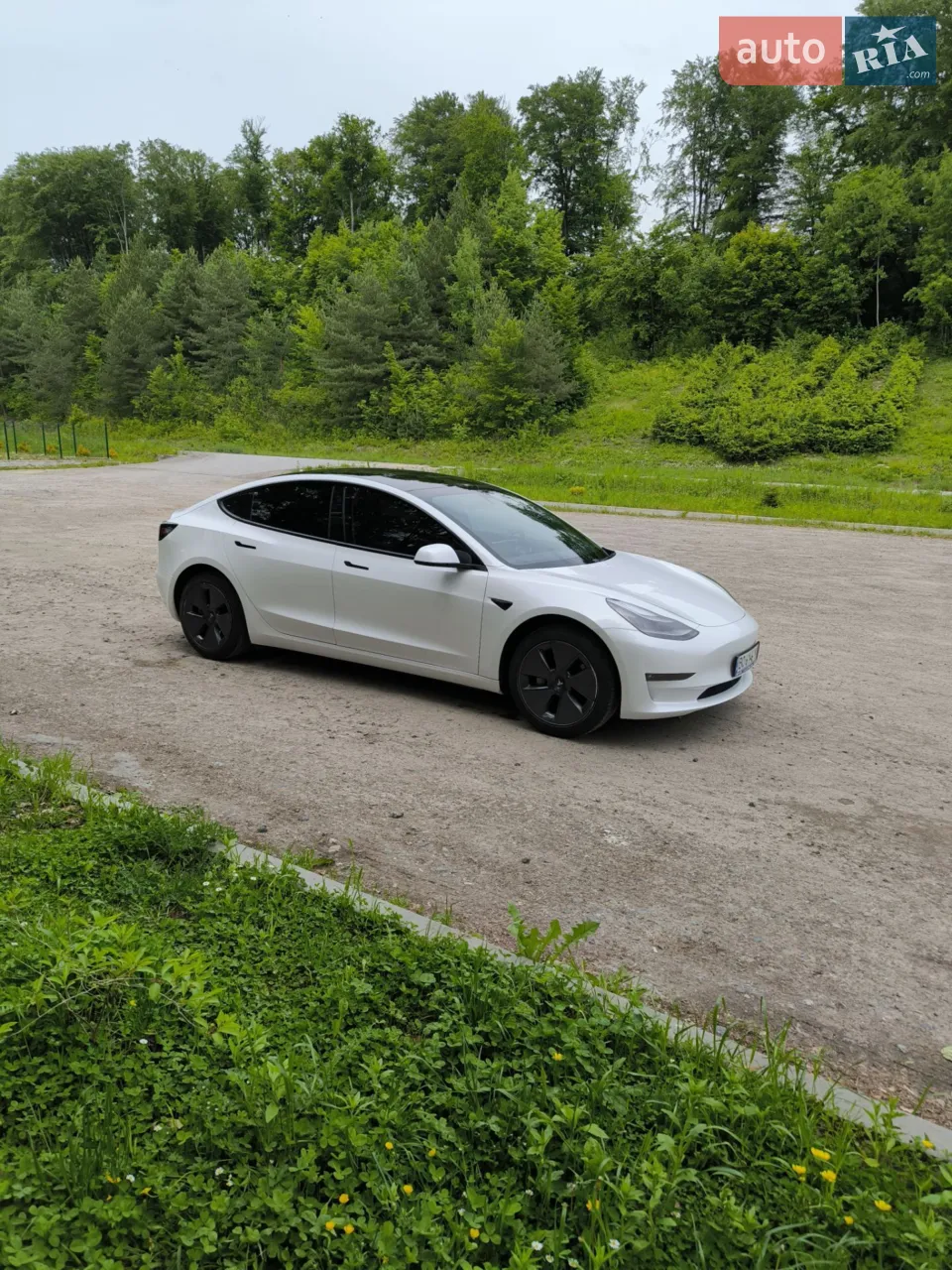 2021 Tesla Model 3 - мініатюра 25