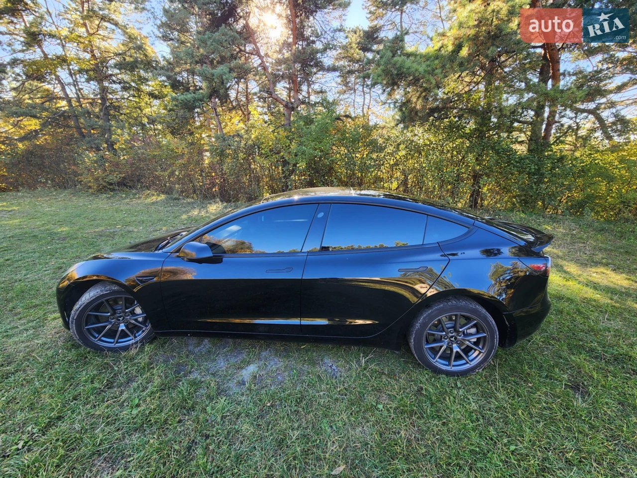 2021 Tesla Model 3 - мініатюра 30