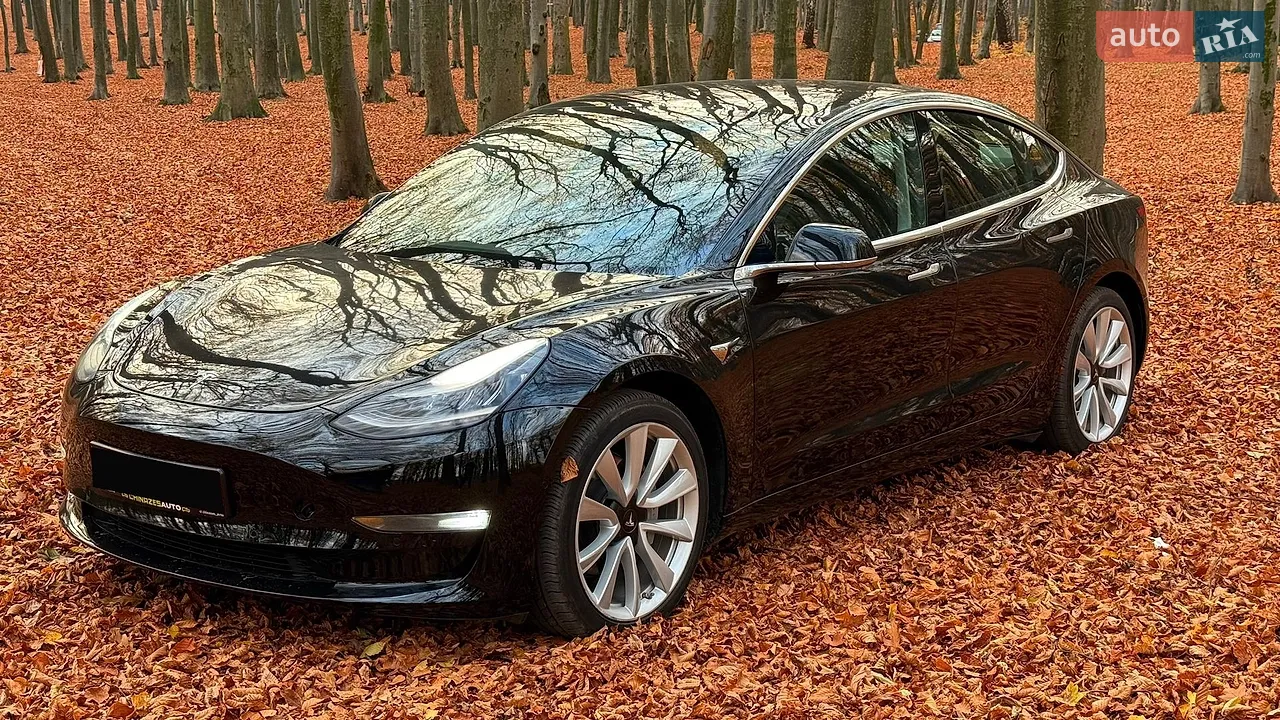 2019 Tesla Model 3 - мініатюра 18