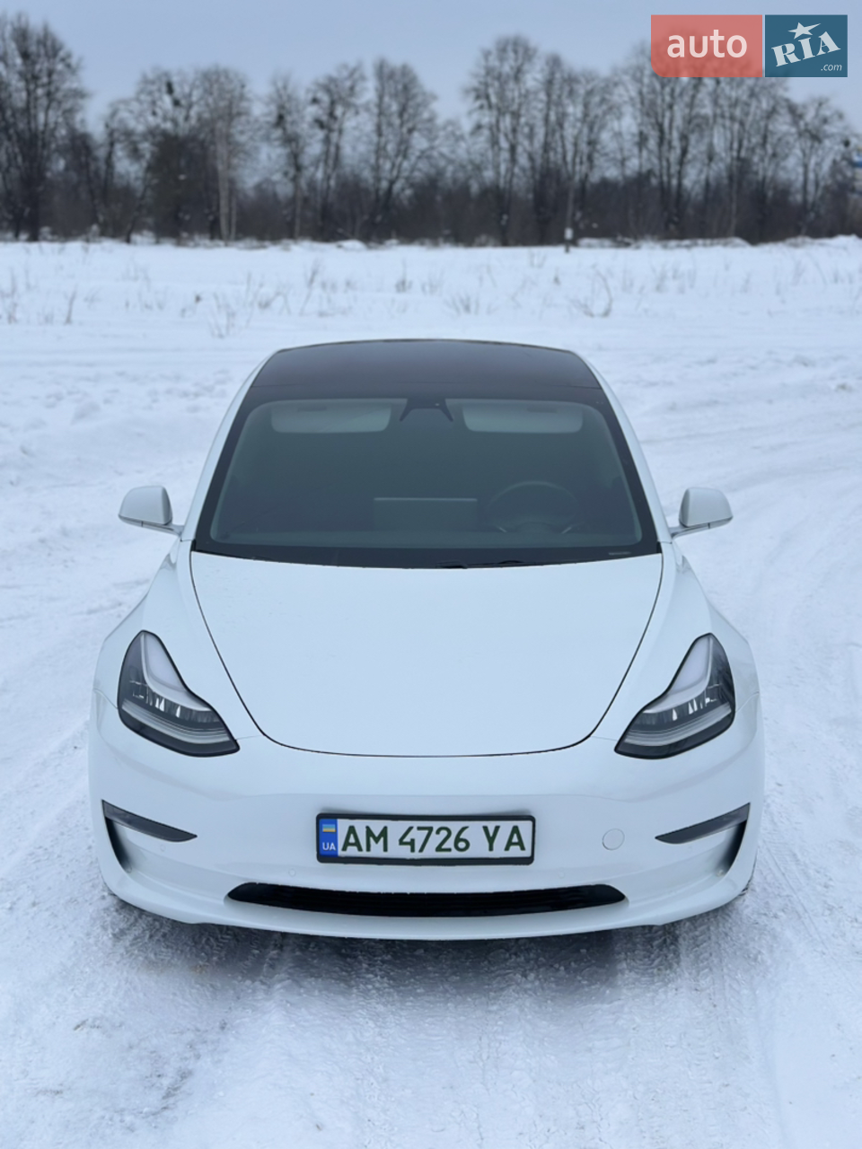 2019 Tesla Model 3 - мініатюра 21