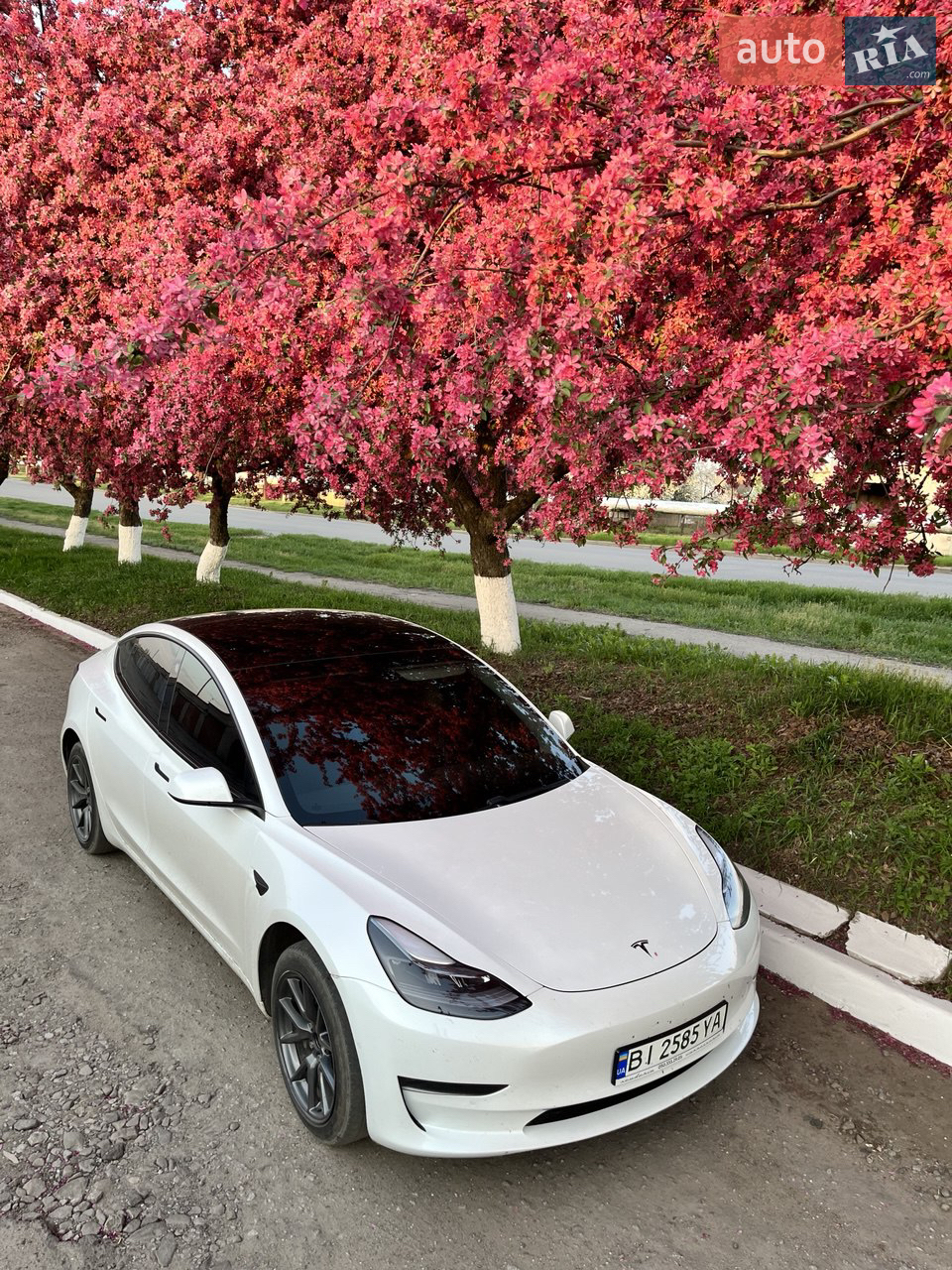 2021 Tesla Model 3 - мініатюра 12