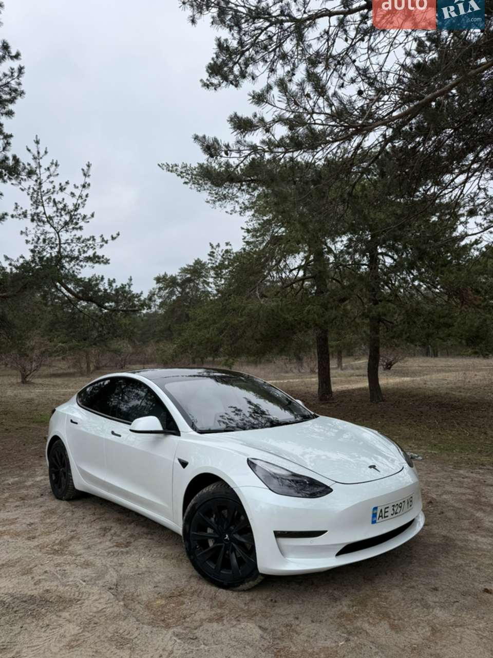 2021 Tesla Model 3 - мініатюра 22