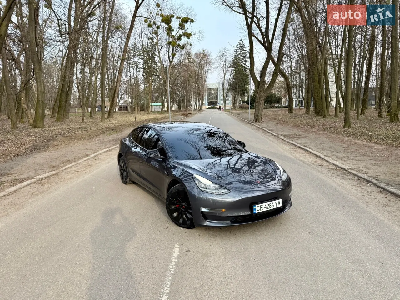 2018 Tesla Model 3 - мініатюра 11