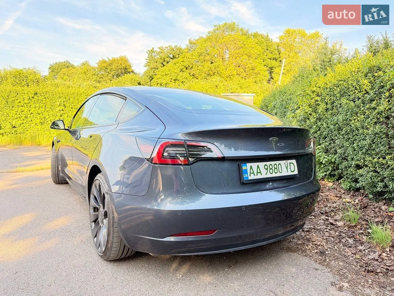 2021 Tesla Model 3 - мініатюра 25