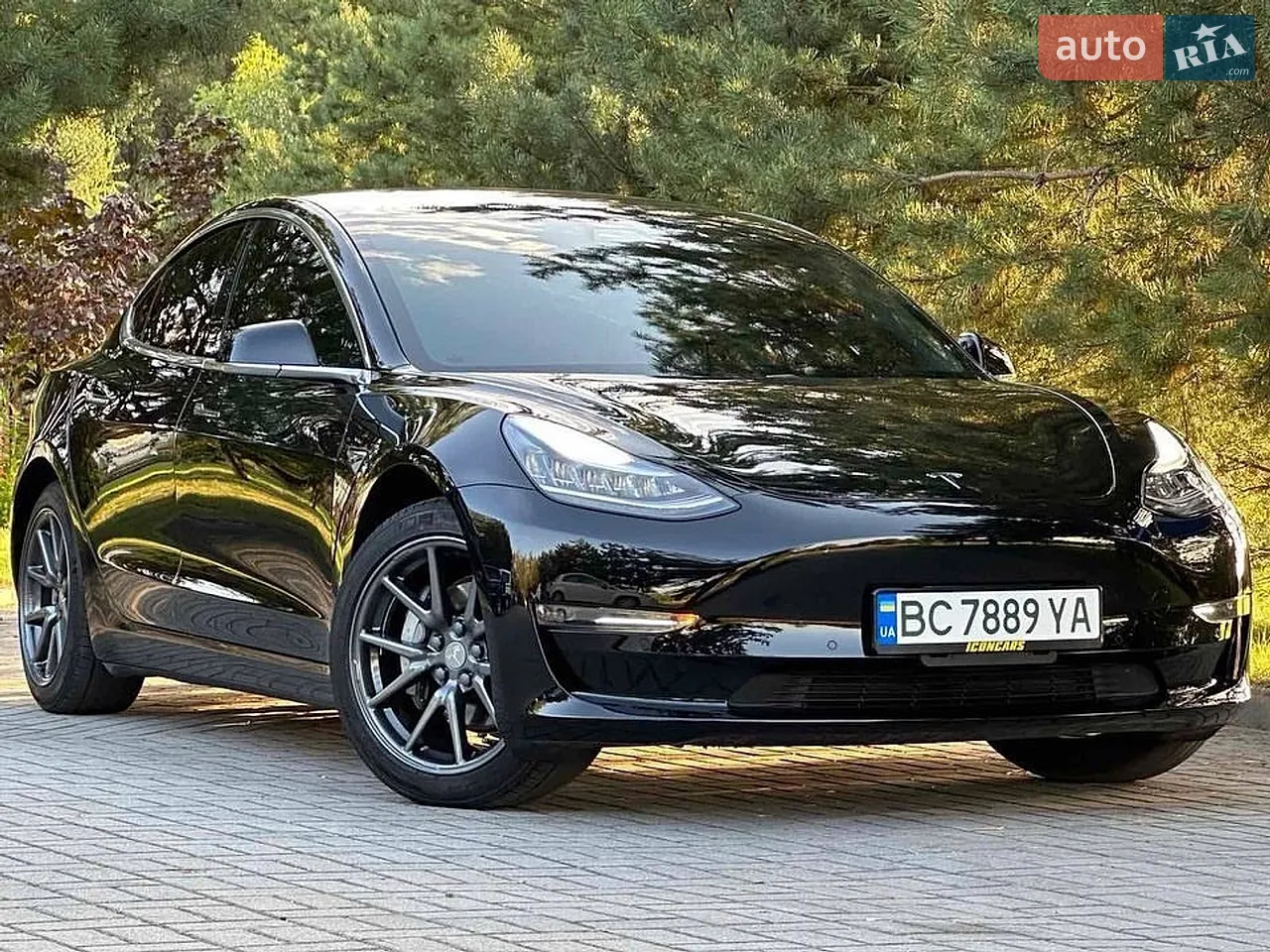 2019 Tesla Model 3 - мініатюра 17