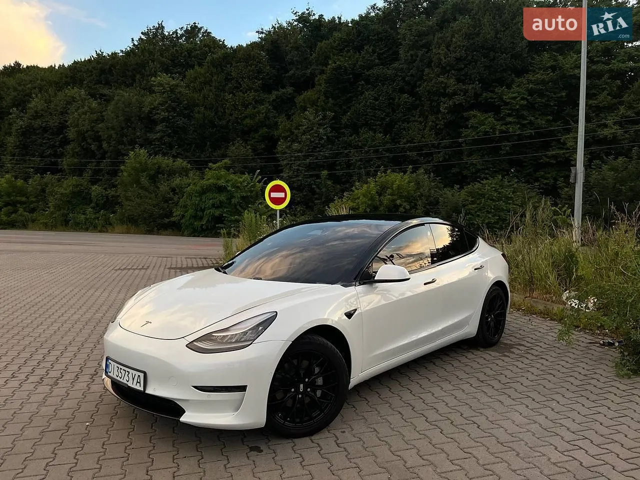 2019 Tesla Model 3 - мініатюра 18