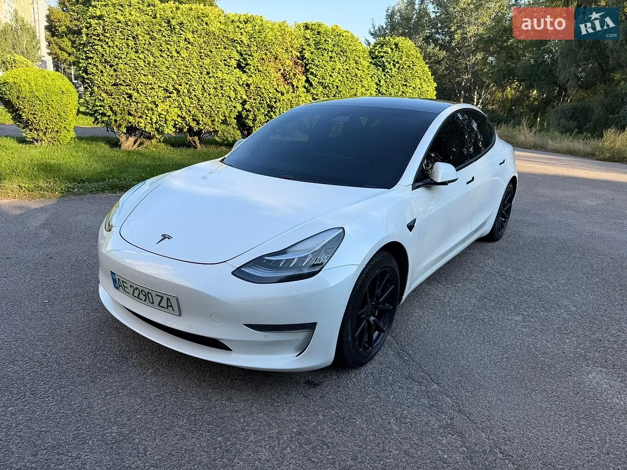 2019 Tesla Model 3 - мініатюра 37