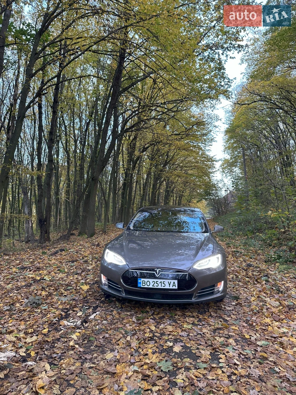 2015 Tesla Model S - мініатюра 42