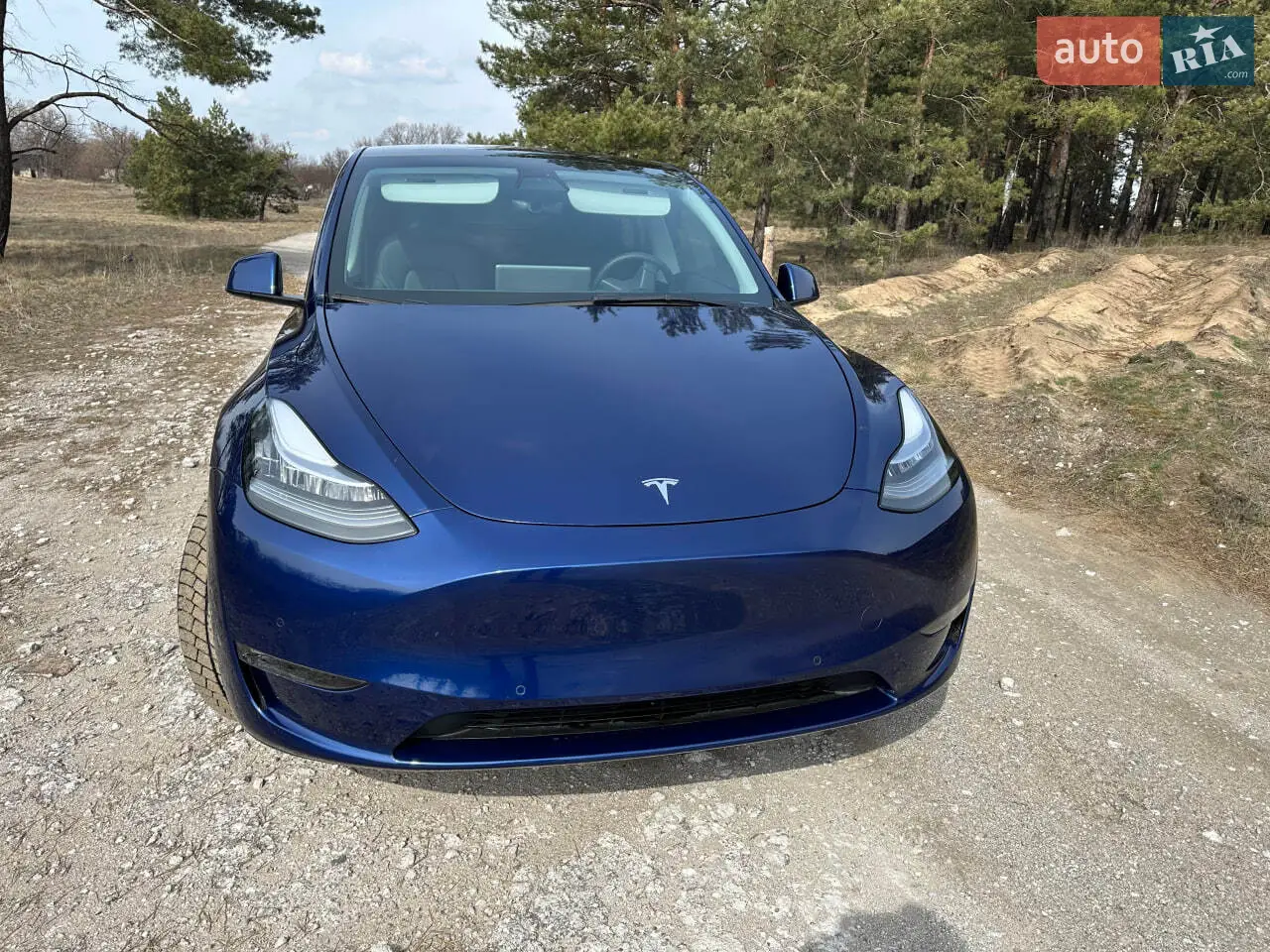 2021 Tesla Model Y - мініатюра 50