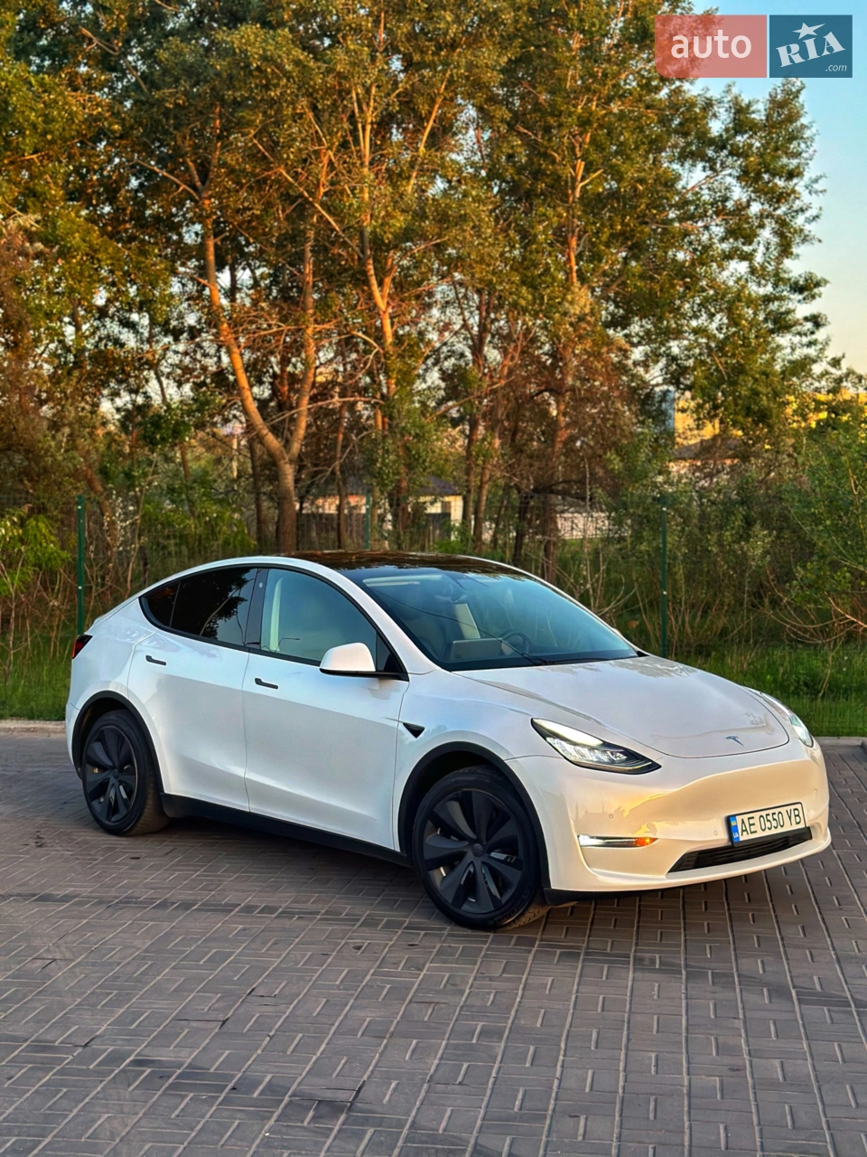 2020 Tesla Model Y - мініатюра 36