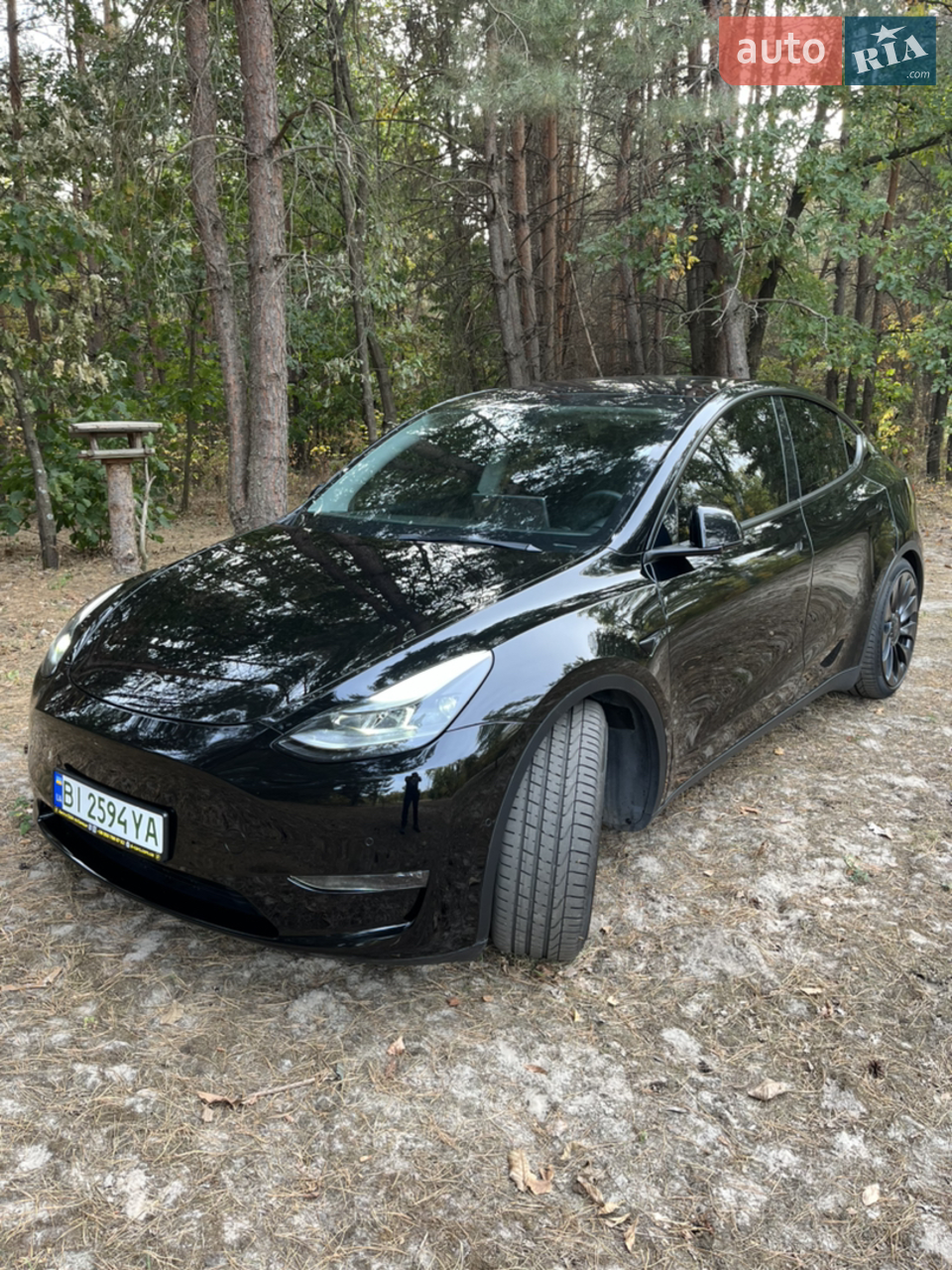 2021 Tesla Model Y - мініатюра 32
