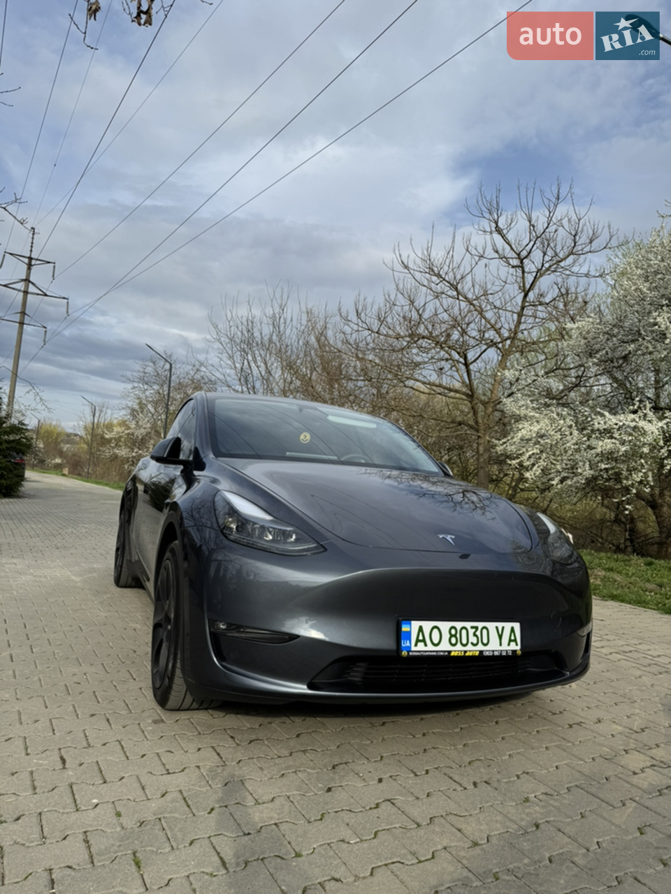 2023 Tesla Model Y - мініатюра 14