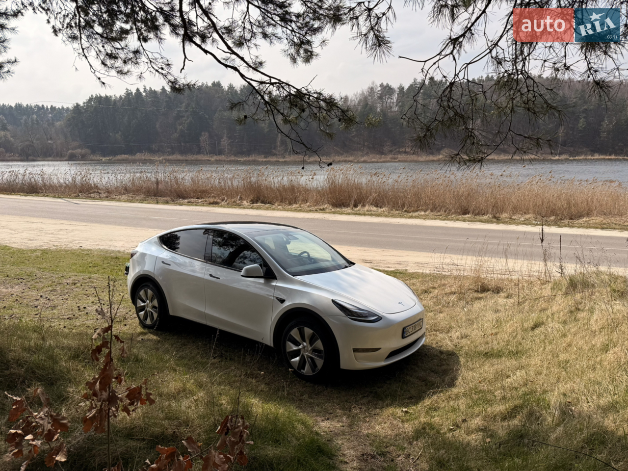 2023 Tesla Model Y - мініатюра 24