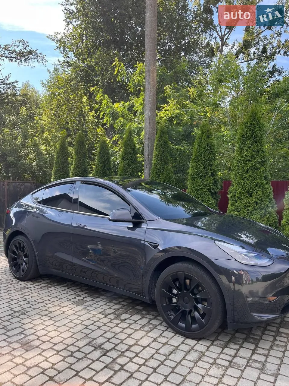 2024 Tesla Model Y - мініатюра 19