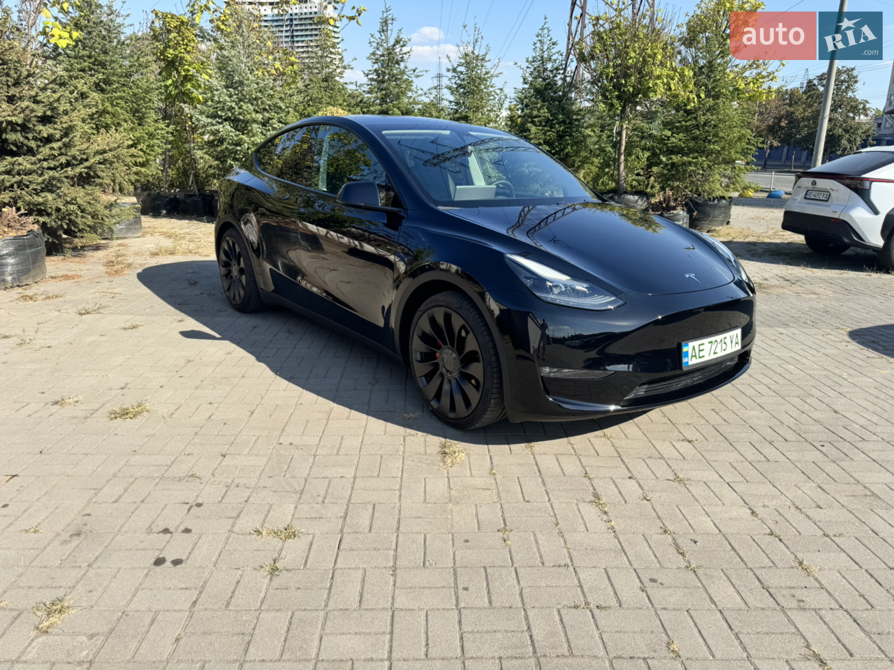 2024 Tesla Model Y - мініатюра 30