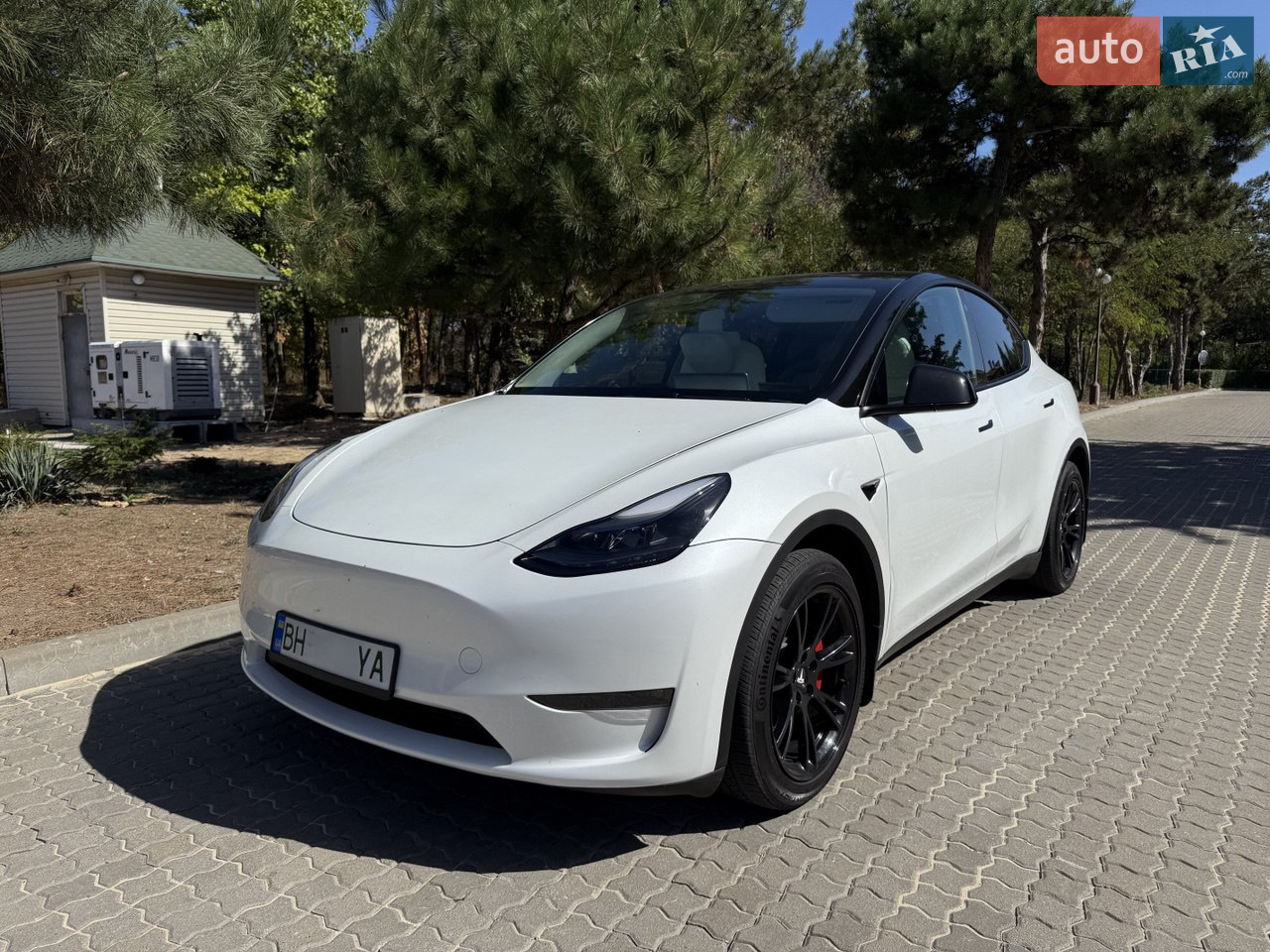 2023 Tesla Model Y - мініатюра 20