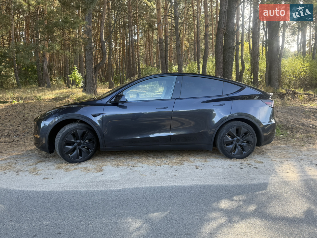 2024 Tesla Model Y - мініатюра 29