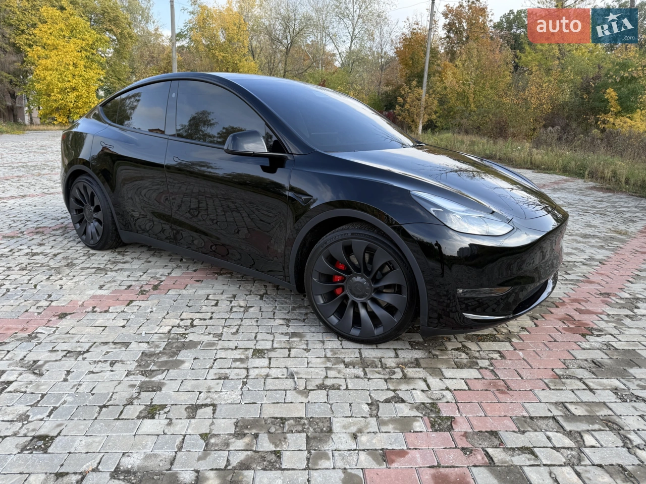 2023 Tesla Model Y - мініатюра 23
