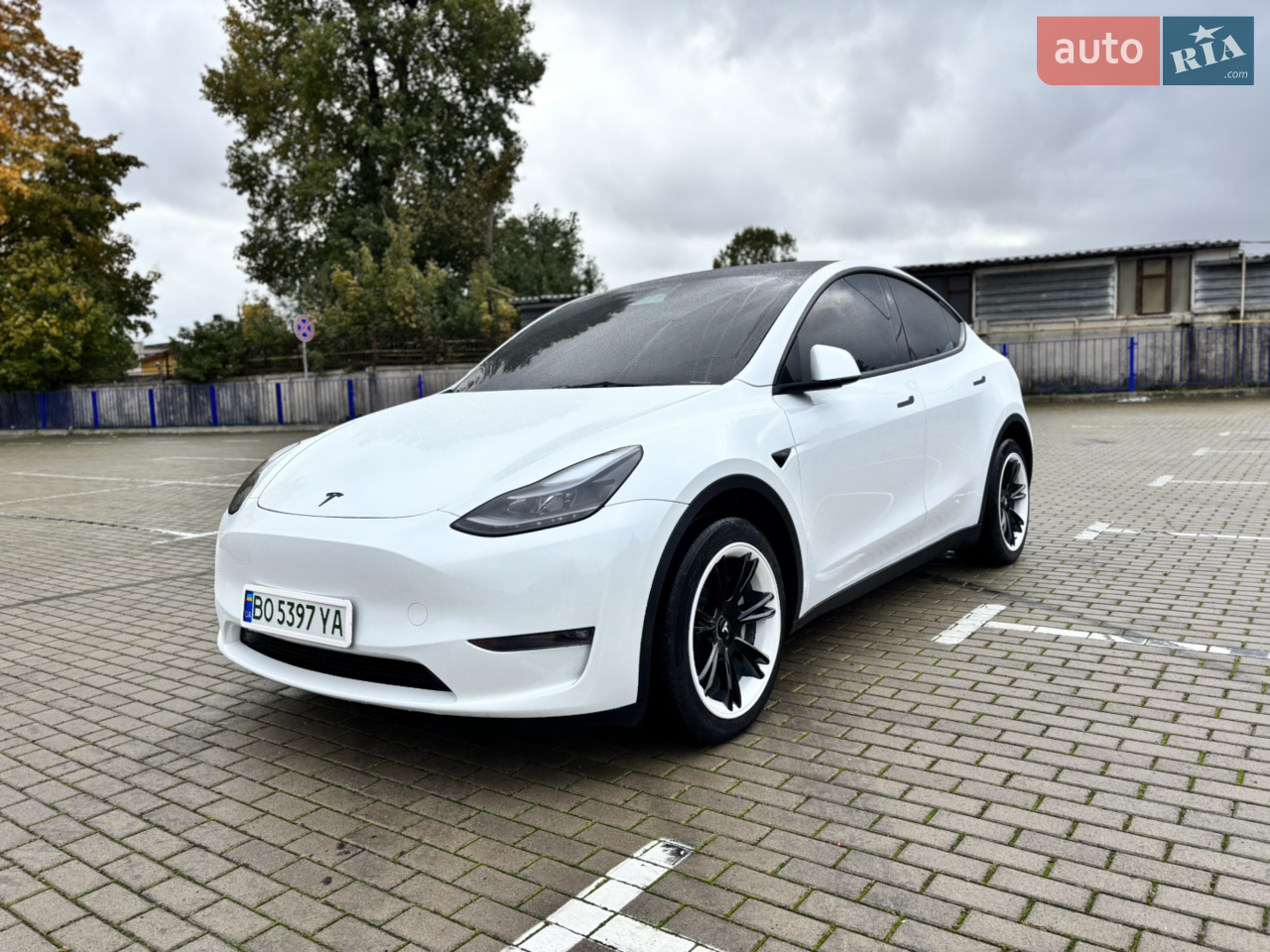 2023 Tesla Model Y - мініатюра 62