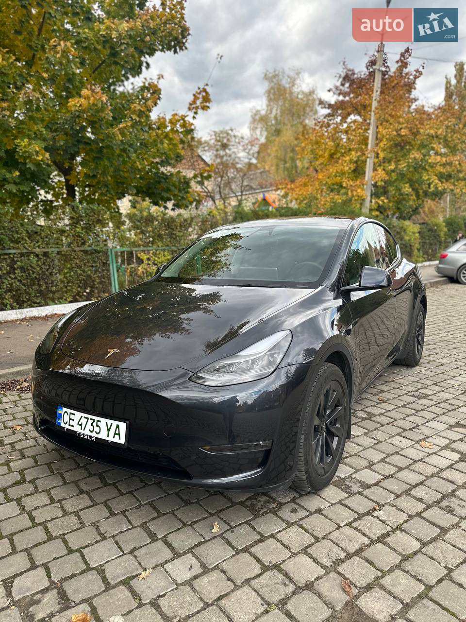 2024 Tesla Model Y - мініатюра 20
