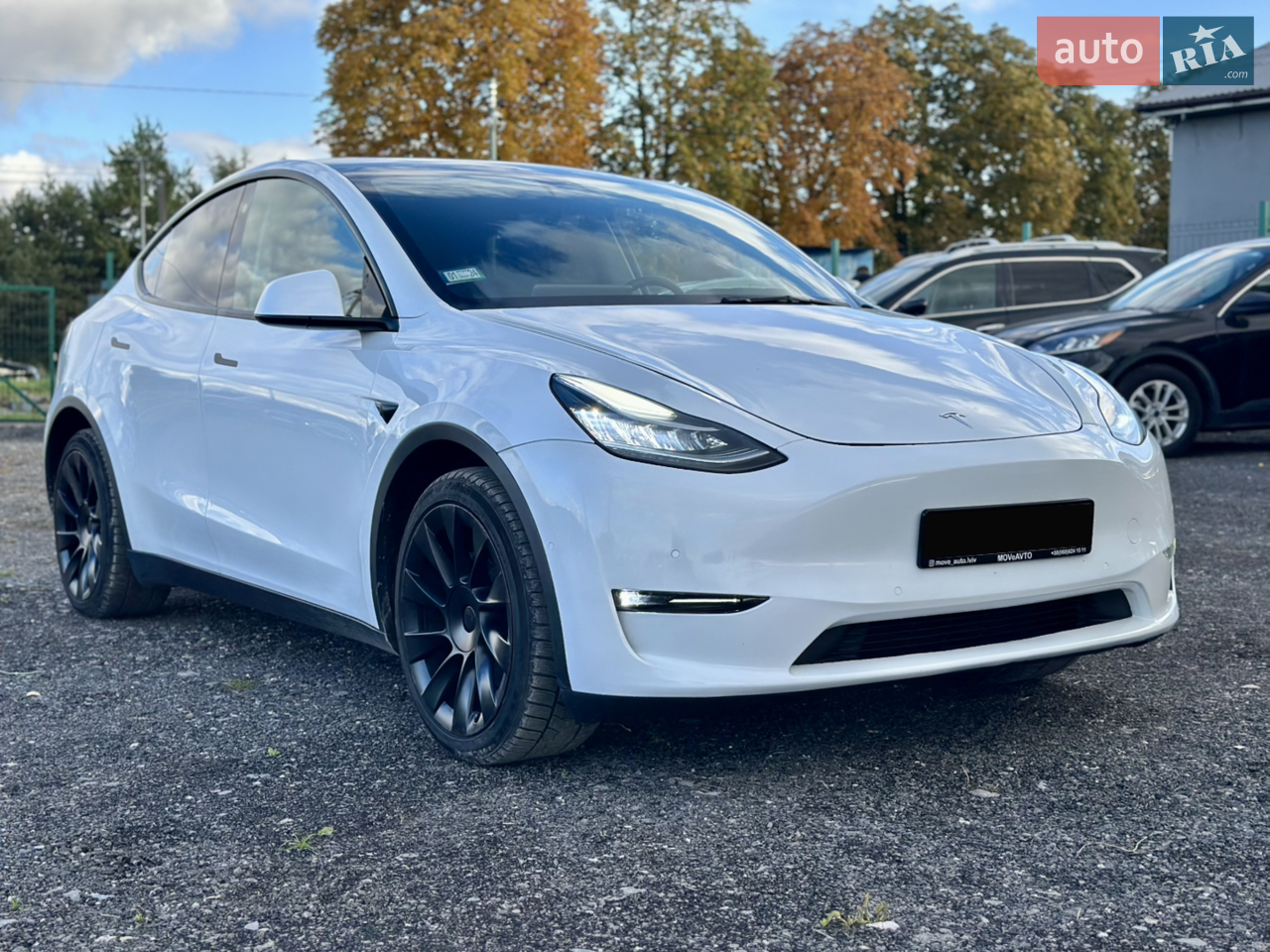 2021 Tesla Model Y - мініатюра 20