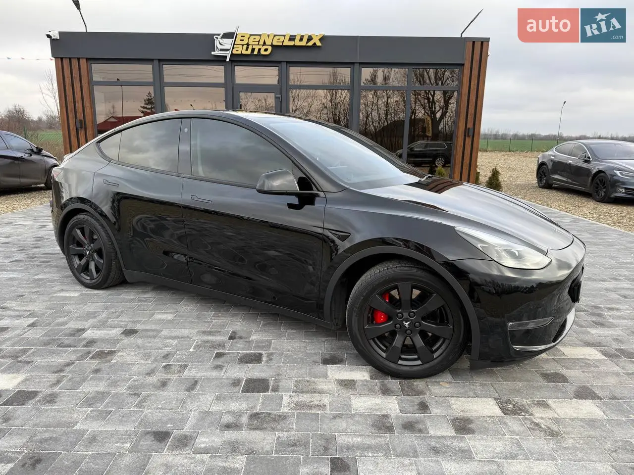 2022 Tesla Model Y - мініатюра 53
