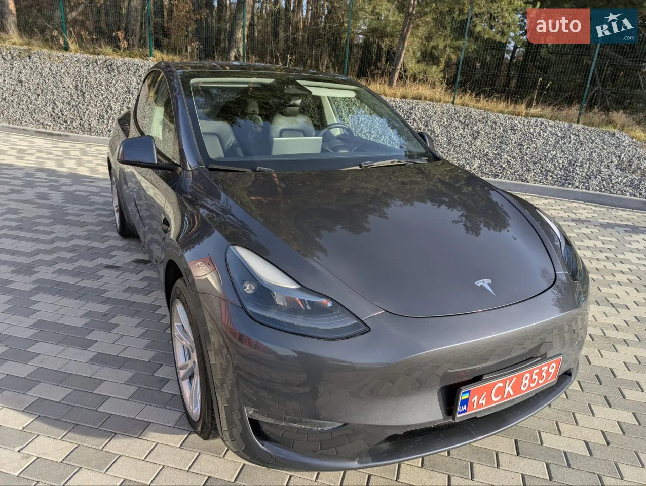 2023 Tesla Model Y - мініатюра 41