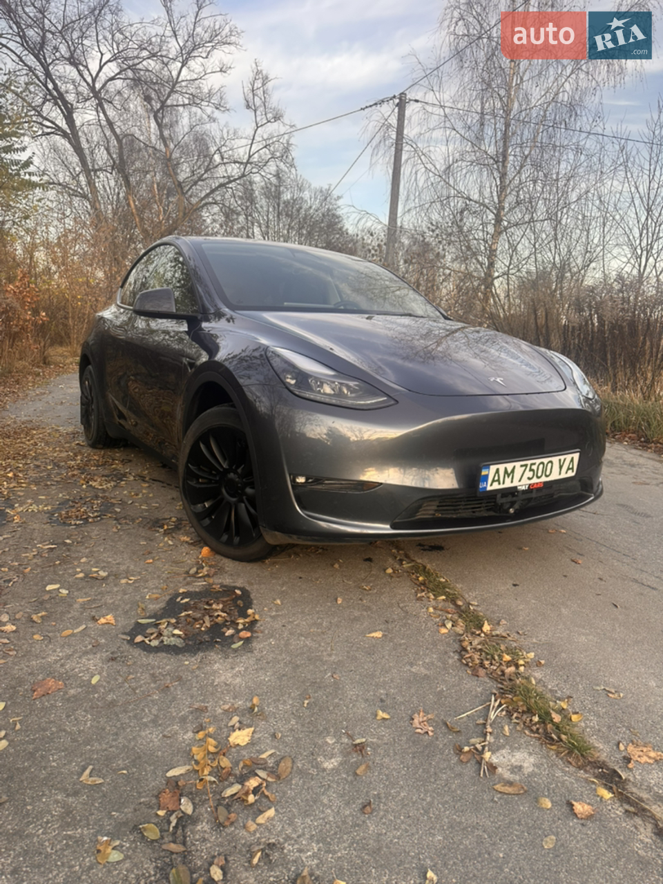 2023 Tesla Model Y - мініатюра 21