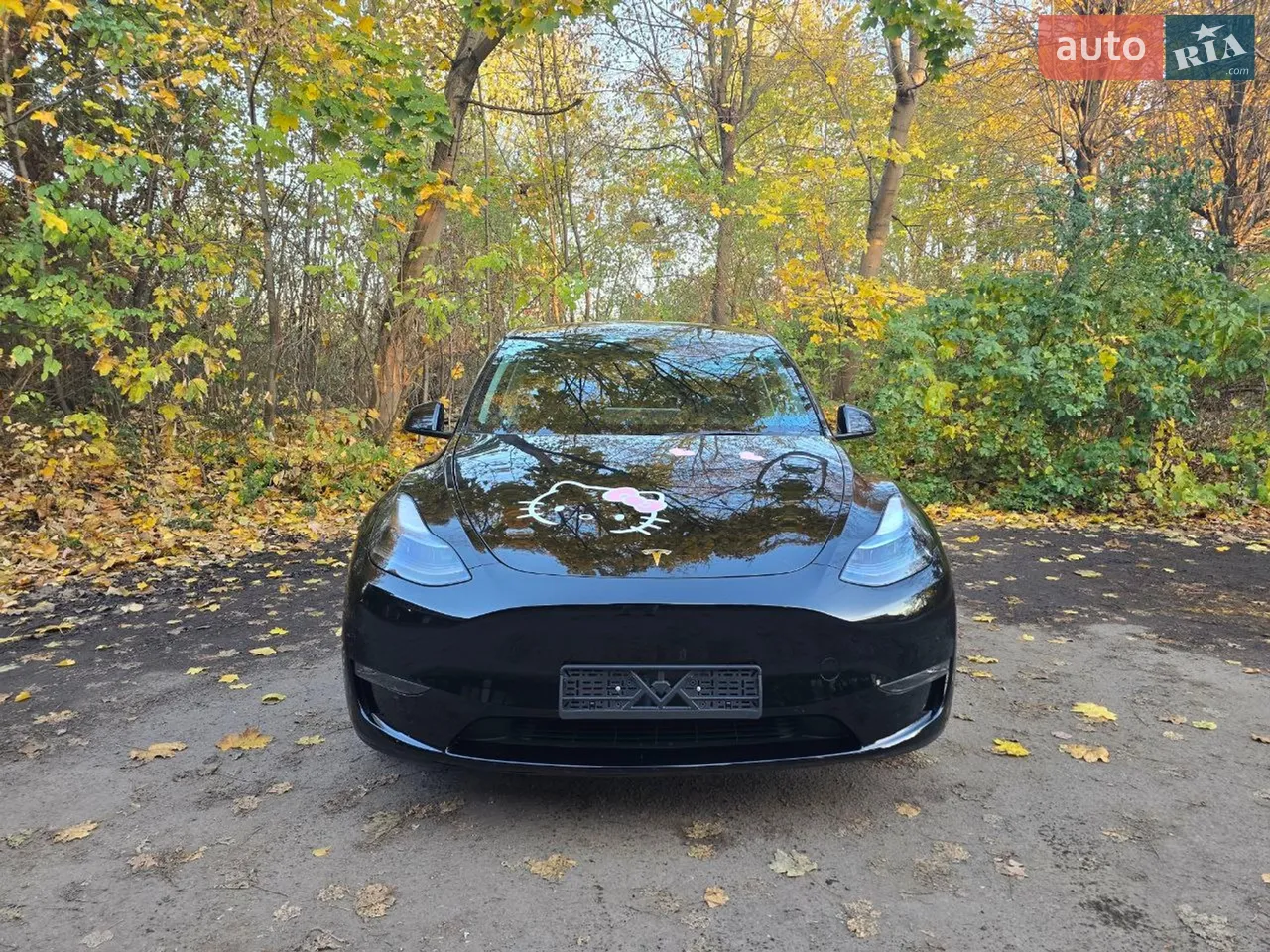 2023 Tesla Model Y - мініатюра 11